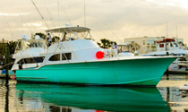 Deep Sea Fishing St. Augustine - Jodie Lynn II