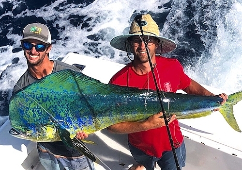 Mahi Madness